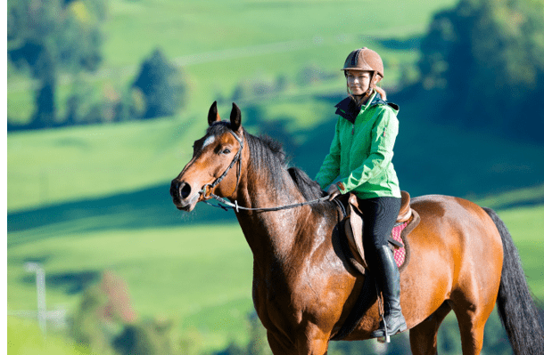 horse riding